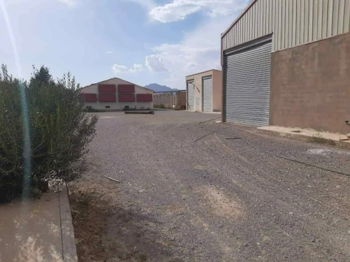 Vente Terrain Agricole Batna Merouana