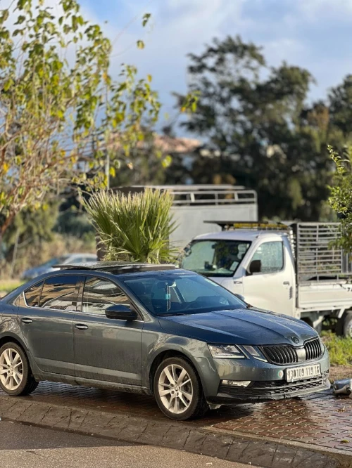 Skoda Octavia 2019 Clever