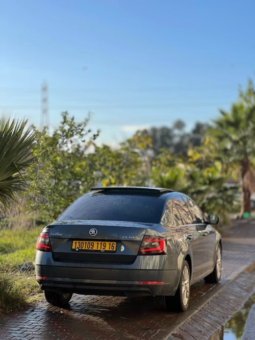 Skoda Octavia 2019 Clever