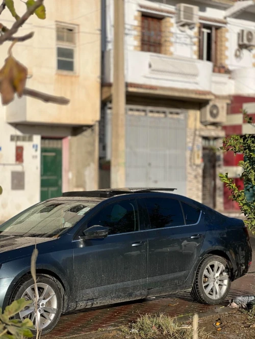 Skoda Octavia 2019 Clever