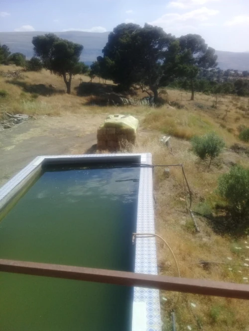 Vente Terrain Agricole Bordj Bou Arreridj Mansoura