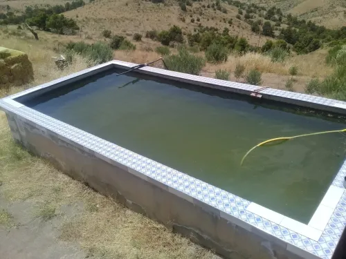 Vente Terrain Agricole Bordj bou arreridj Mansoura