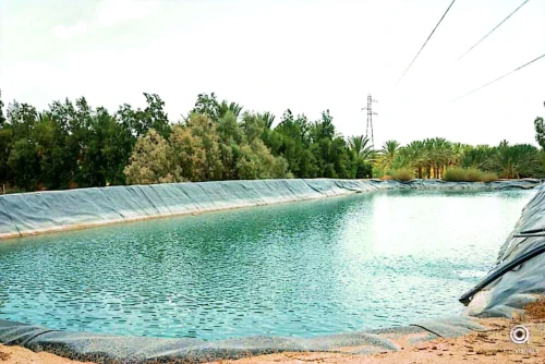 Vente Terrain Agricole Biskra Biskra