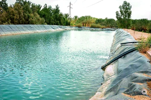 Vente Terrain Agricole Biskra Biskra