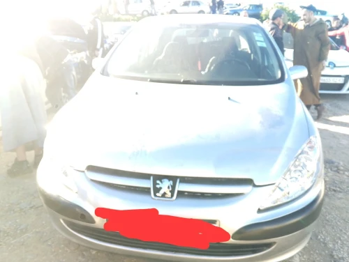 Peugeot 307 2002 307