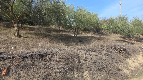 Vente Terrain Sétif Hammam guergour