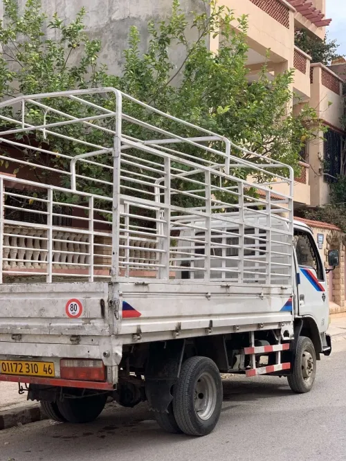 Dfac Camion 1022 2010