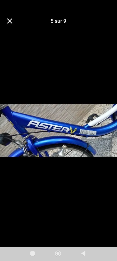 Vend Tricycle classique adulte 