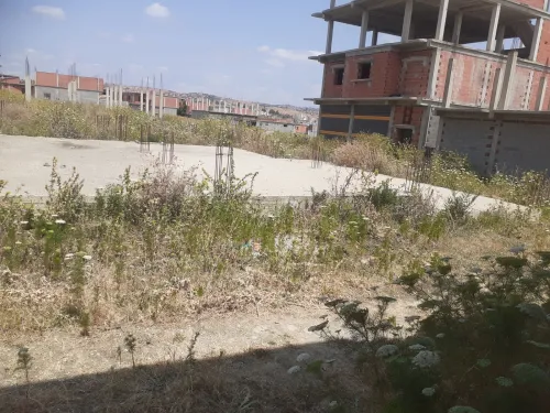Vente Terrain Skikda Sidi mezghiche