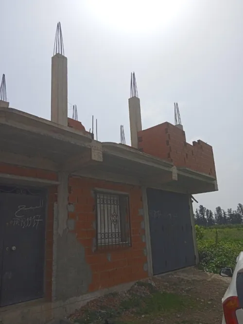 Vente Carcasse Blida Boufarik