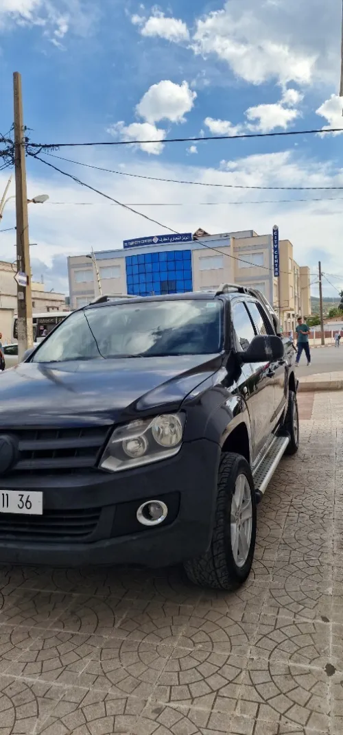 Volkswagen Amarok 2011 Profit