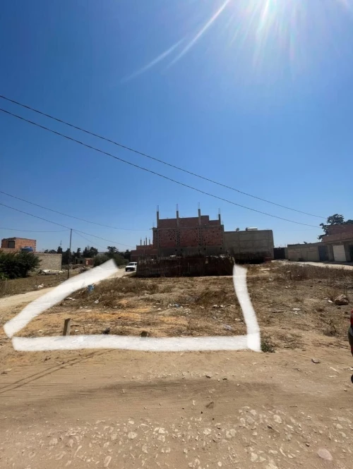 Vente Terrain Mostaganem Hassi maameche