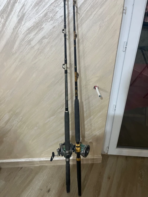 Canne à pêche
