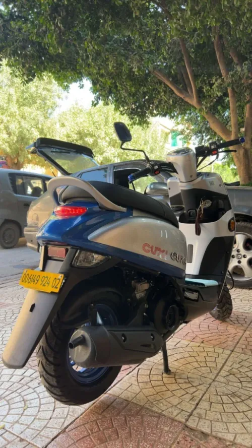 Vms Cuxi 2 2024