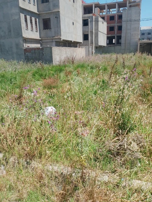 Vente Terrain Alger Rouiba