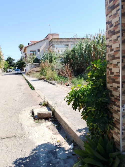 Vente Terrain Alger Ain taya