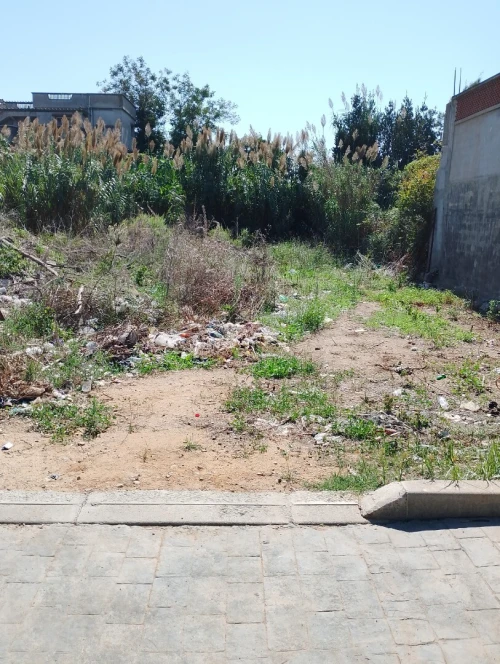 Vente Terrain Alger Ain taya