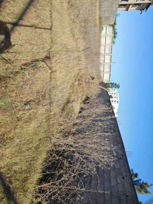 Vente Terrain Alger Reghaia