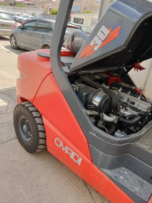 Ovadi. Heli Clark 2025