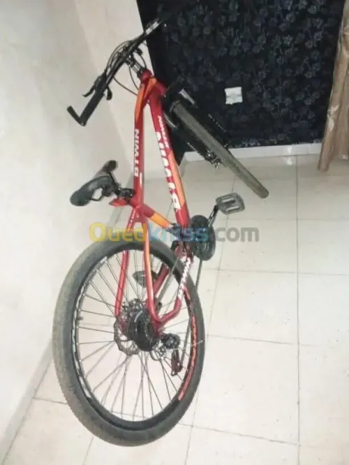 velo betwine