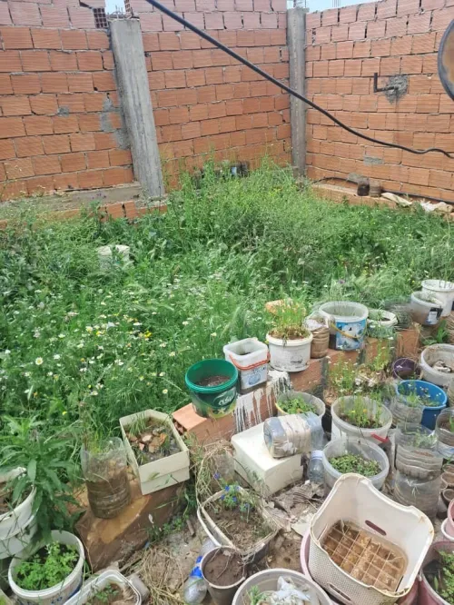 Vente Immeuble Blida Meftah
