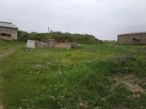 Location Terrain Agricole Skikda Azzaba