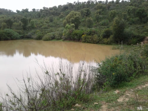 Location Terrain Agricole Skikda Azzaba