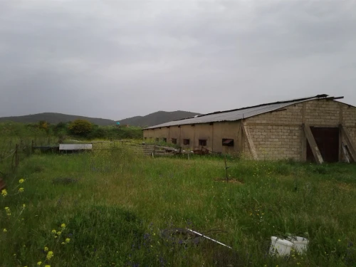 Location Terrain Agricole Skikda Azzaba