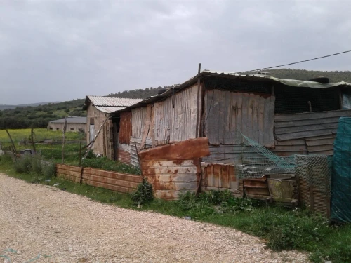 Location Terrain Agricole Skikda Azzaba