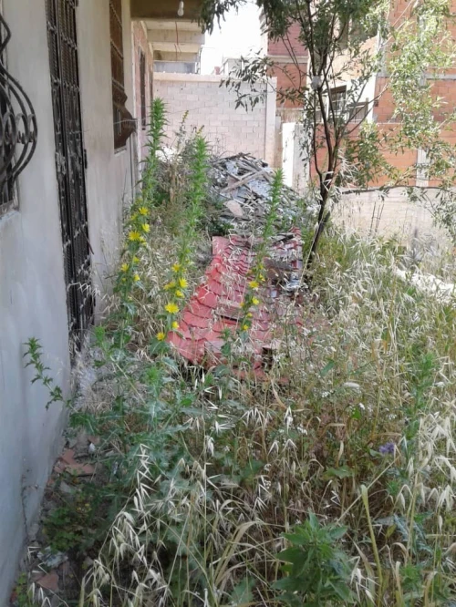 Vente Villa Skikda El Hadaiek