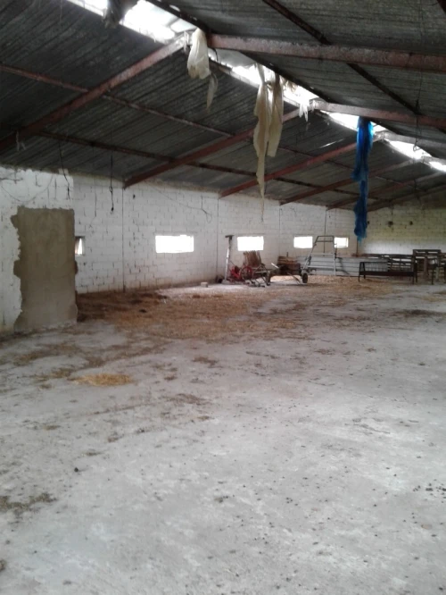 Location Terrain Agricole Skikda Azzaba