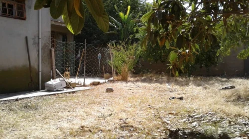 Vente Villa Skikda Ramdane djamel