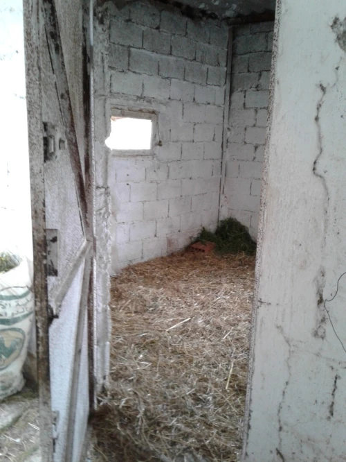 Location Terrain Agricole Skikda Azzaba