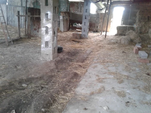 Location Terrain Agricole Skikda Azzaba