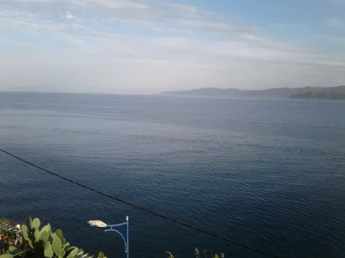 Vente Terrain Skikda Collo