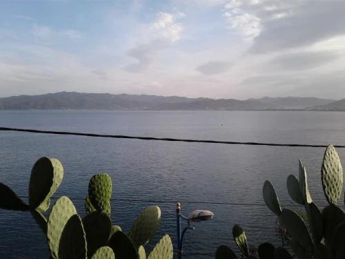 Vente Terrain Skikda Collo