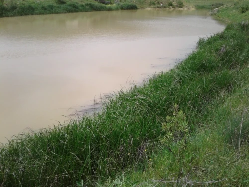 Location Terrain Agricole Skikda Azzaba