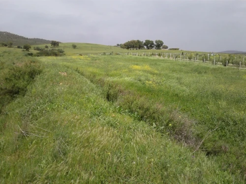 Location Terrain Agricole Skikda Azzaba