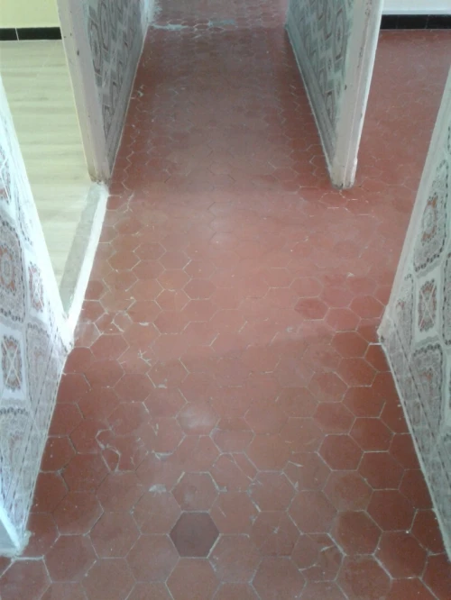 Vente Appartement F3 Skikda Skikda