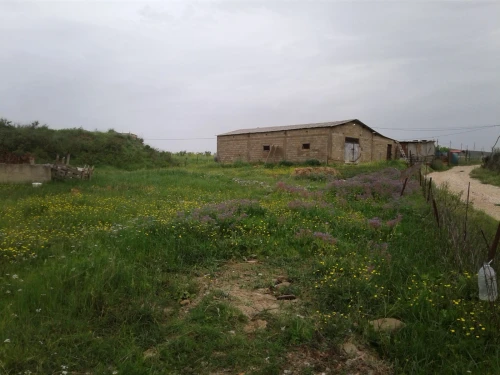 Location Terrain Agricole Skikda Azzaba