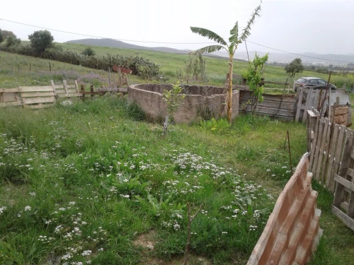 Location Terrain Agricole Skikda Azzaba