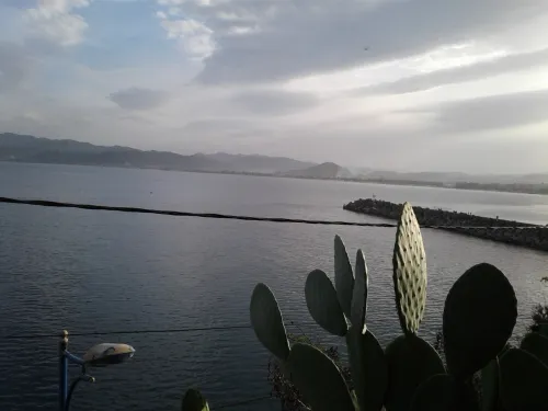 Vente Terrain Skikda Collo
