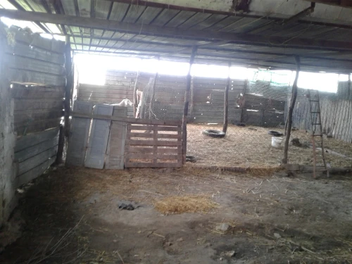 Location Terrain Agricole Skikda Azzaba