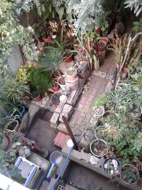 Vente Appartement Niveau de villa F5 Skikda Skikda