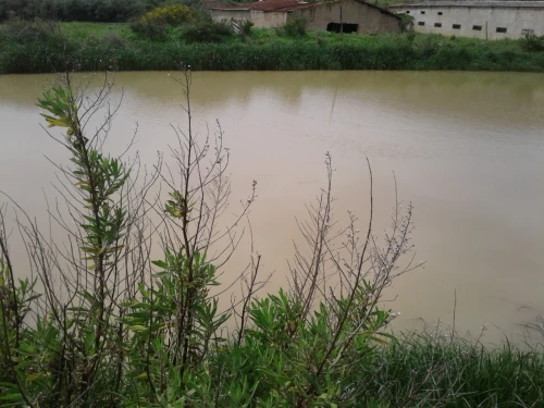 Location Terrain Agricole Skikda Azzaba