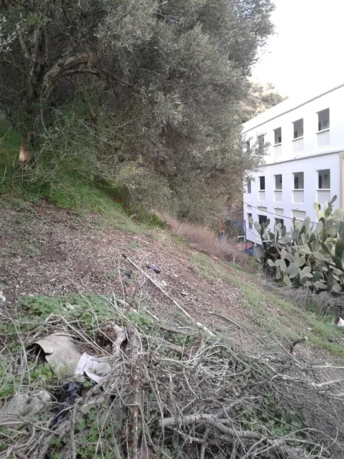 Vente Terrain Skikda Collo