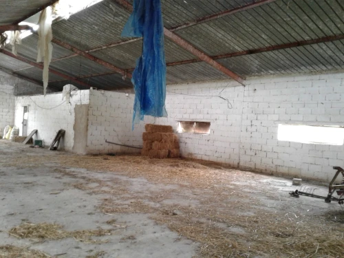 Location Terrain Agricole Skikda Azzaba
