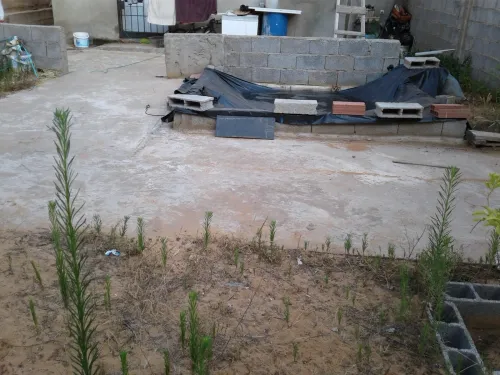Vente Appartement F4 Skikda Filfla