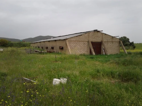 Location Terrain Agricole Skikda Azzaba