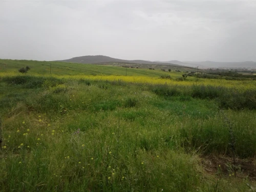 Location Terrain Agricole Skikda Azzaba